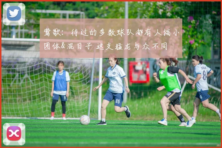 莺歌：待过的多数球队都有人搞小团体&混日子 这支猛龙与众不同